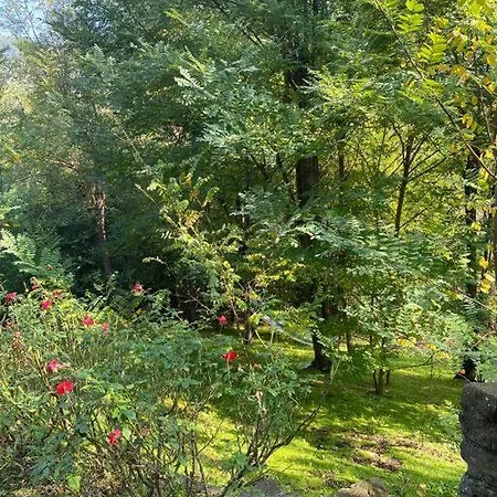 Casal Divino Bistagno